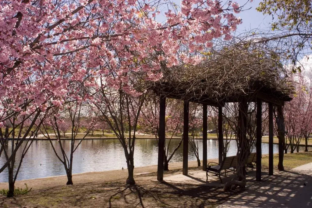 Lake Balboa/Anthony C. Beilenson Park