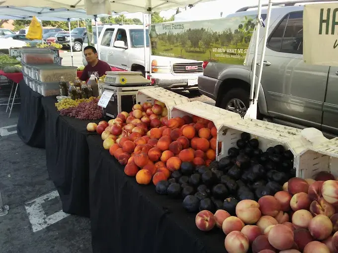 Northridge Farmers Market and Family Festival