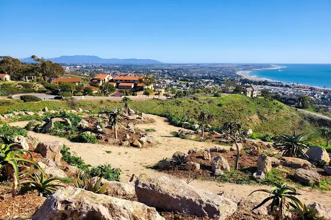 Beauty of Ventura Botanical Gardens in California